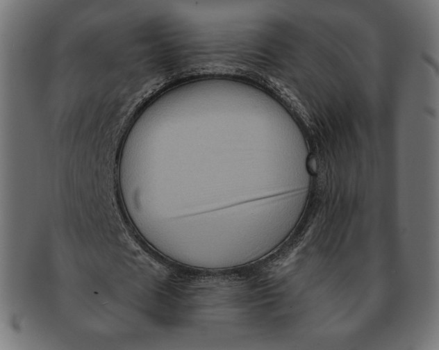 X0000091510625200709070954