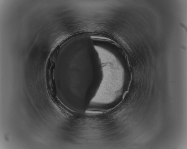 X0000091510626200709070954