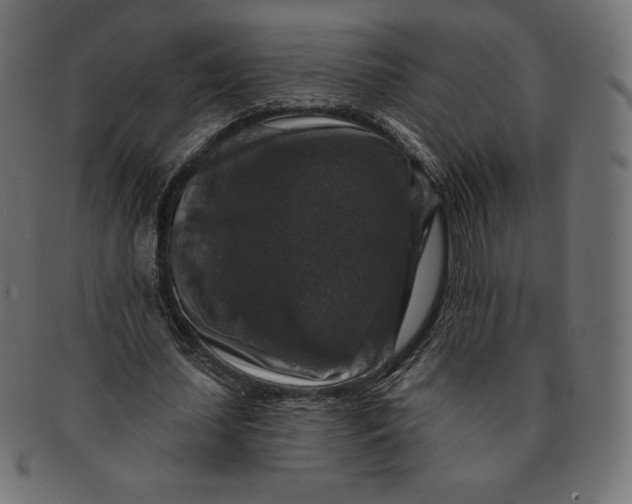 X0000091510627200709070954