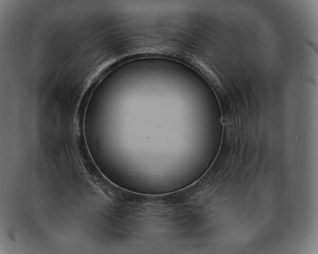 X0000091510628200709070954