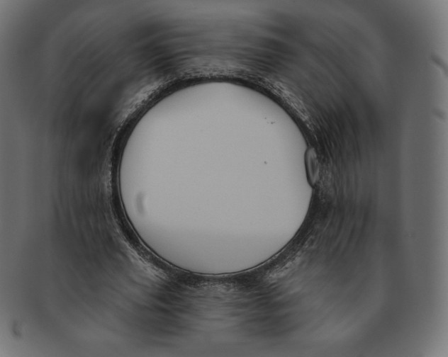 X0000091510629200709070954