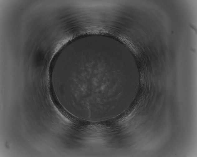 X0000091510630200709070954