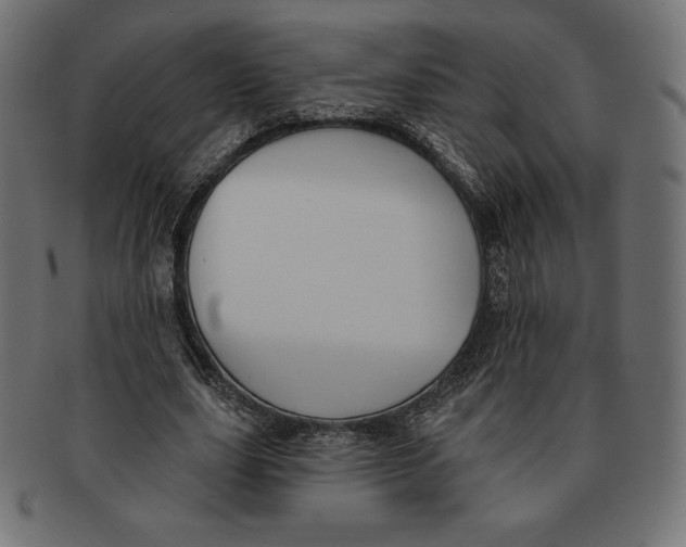 X0000091510631200709070954