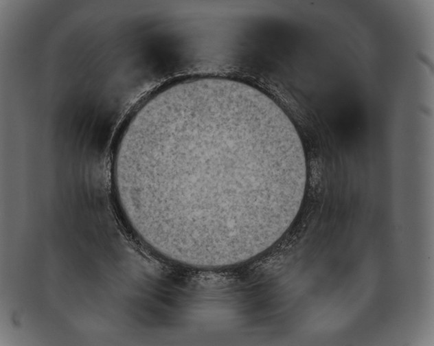 X0000091510632200709070954