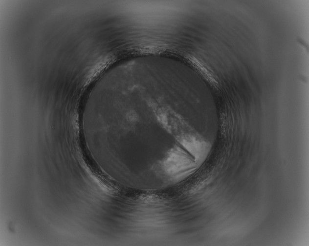 X0000091510634200709070954