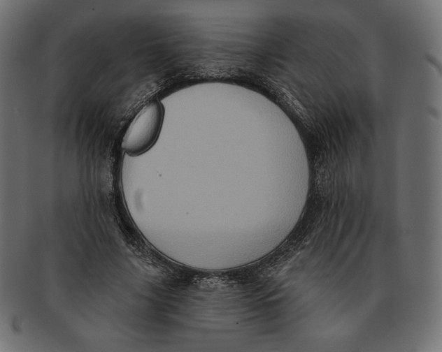 X0000091510635200709070954