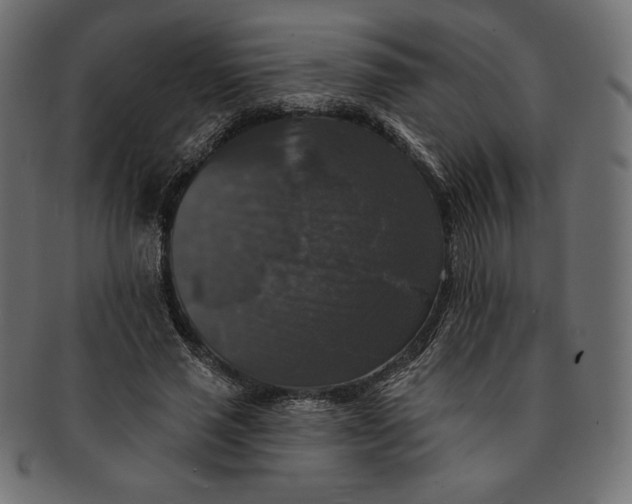 X0000091510637200709070954