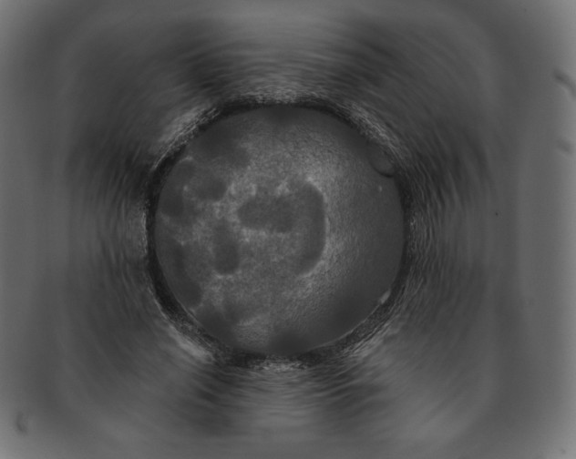 X0000091510638200709070954