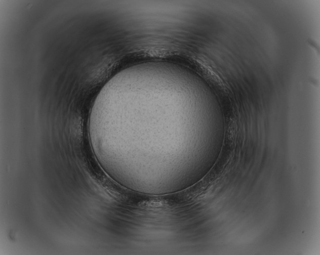 X0000091510639200709070954