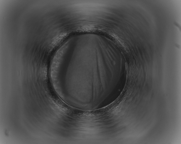 X0000091510640200709070954