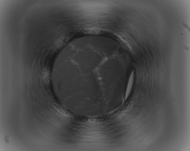 X0000091510641200709070954