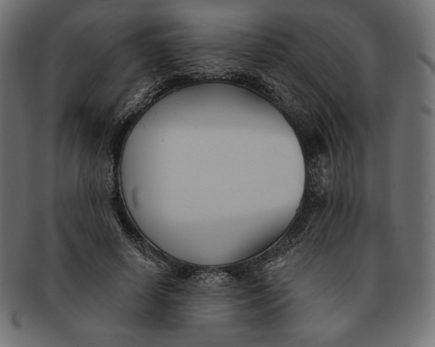 X0000091510642200709070954