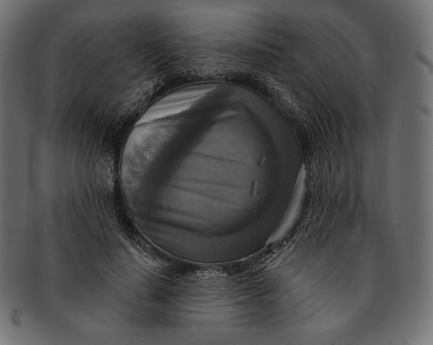 X0000091510644200709070954