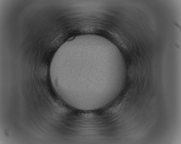 X0000091510645200709070954