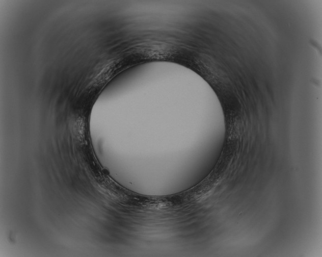 X0000091510646200709070955