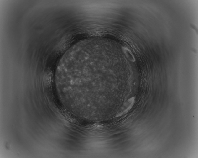 X0000091510647200709070955