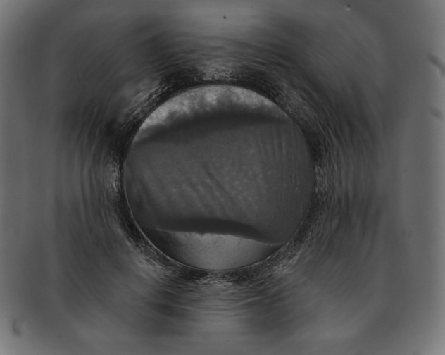 X0000091510648200709070955