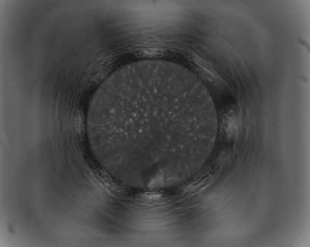 X0000091510651200709070955