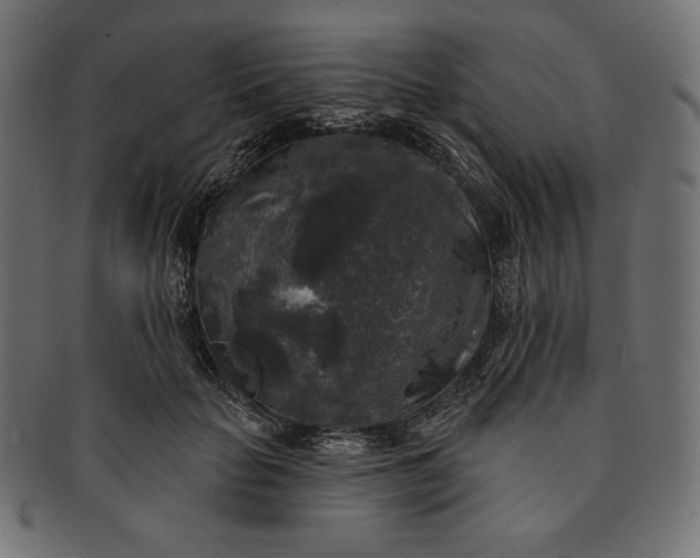 X0000091510653200709070955