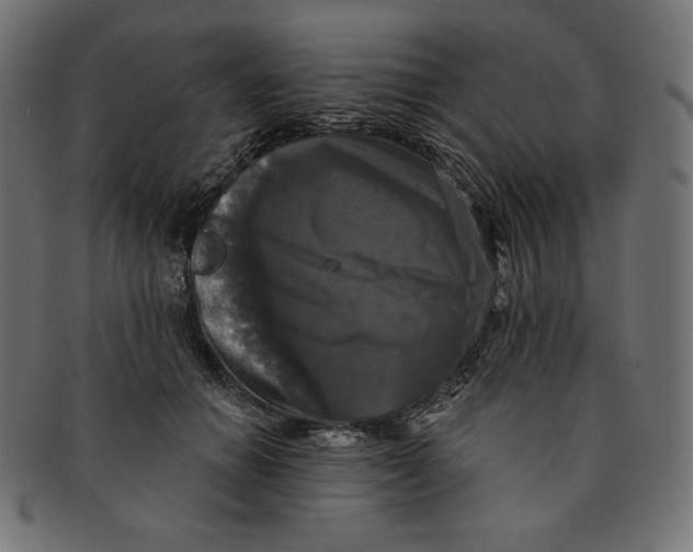 X0000091510654200709070955