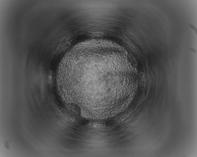 X0000091510655200709070955