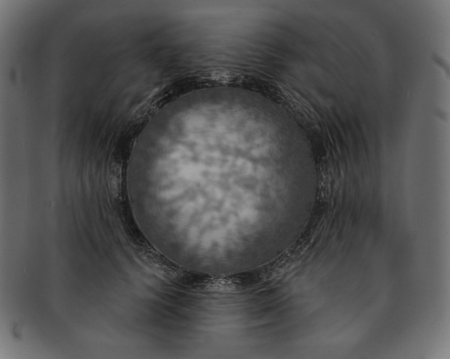 X0000091510656200709070955