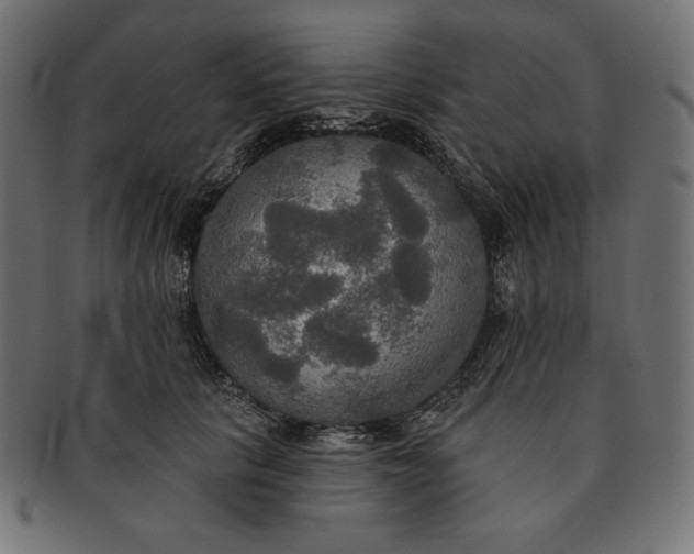 X0000091510657200709070955