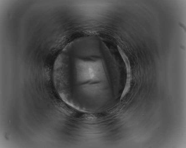 X0000091510658200709070955