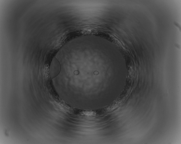 X0000091510659200709070955