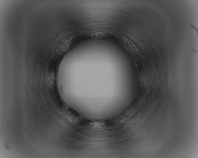 X0000091510660200709070955