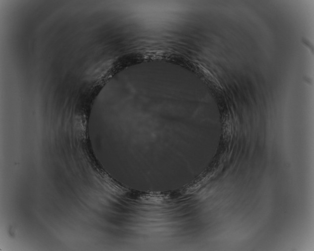 X0000091510661200709070955