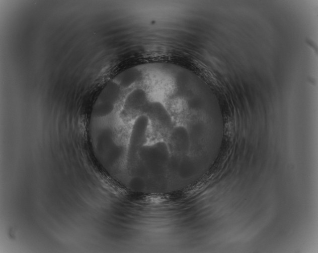 X0000091510662200709070955