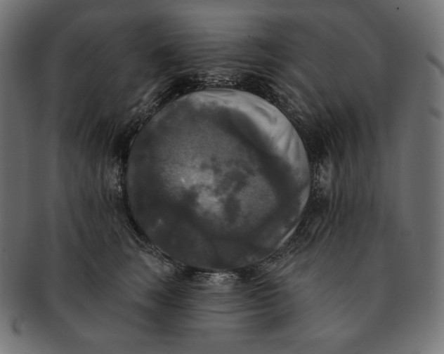 X0000091510663200709070955