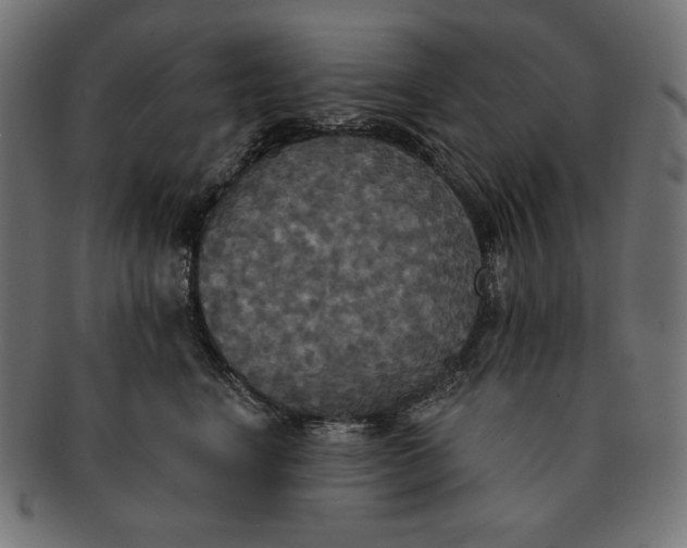 X0000091510664200709070955