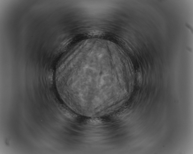 X0000091510668200709070955