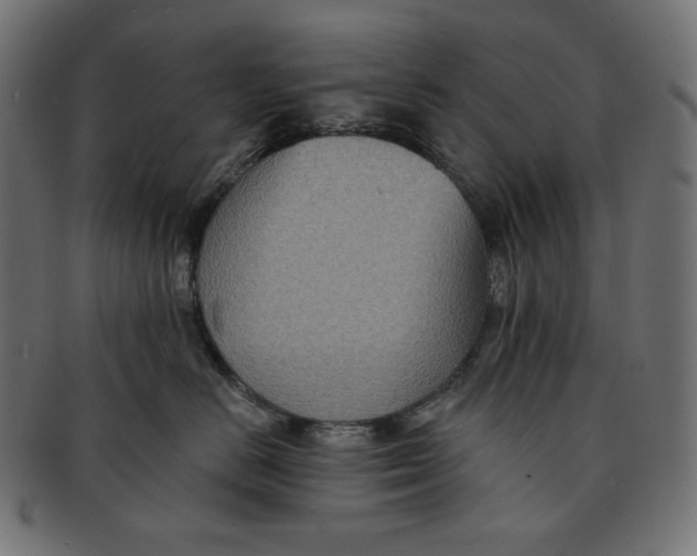 X0000091510670200709070955