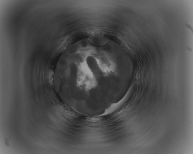 X0000091510671200709070955