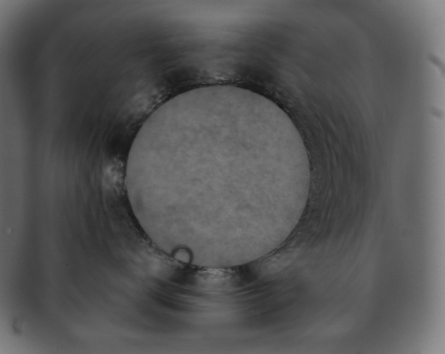 X0000091510672200709070955