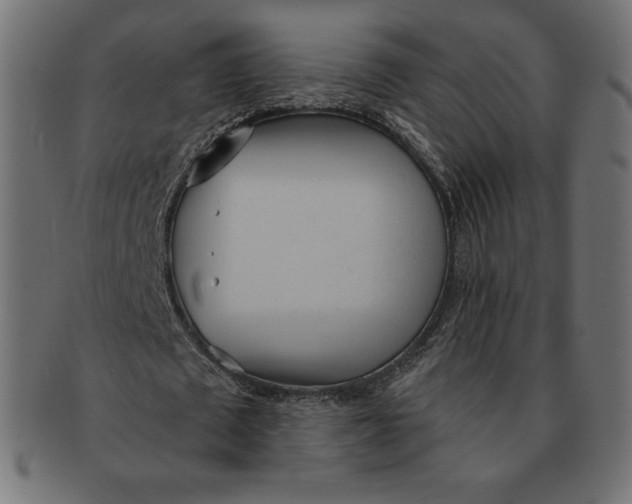 X0000091510673200709070954