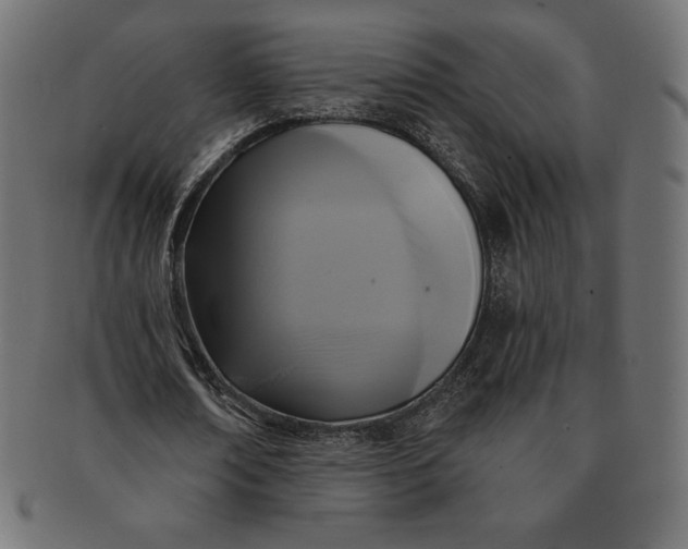 X0000091510674200709070954