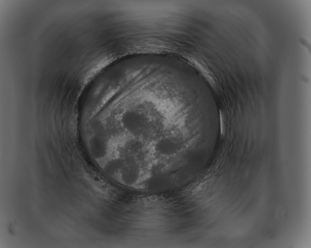 X0000091510675200709070954