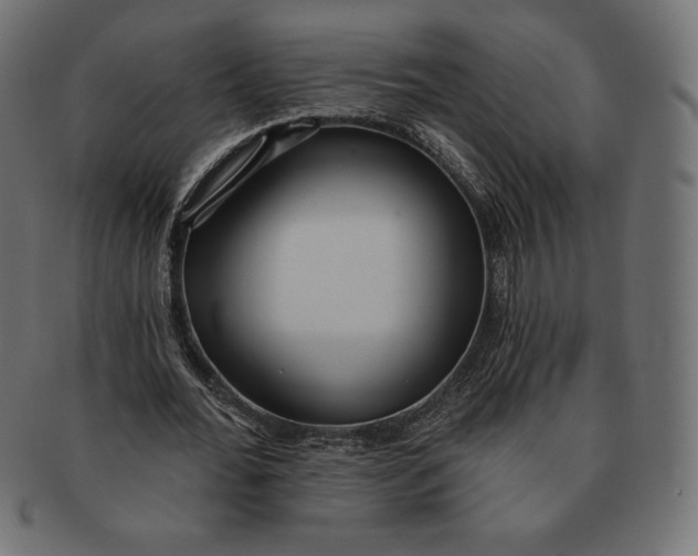 X0000091510676200709070954