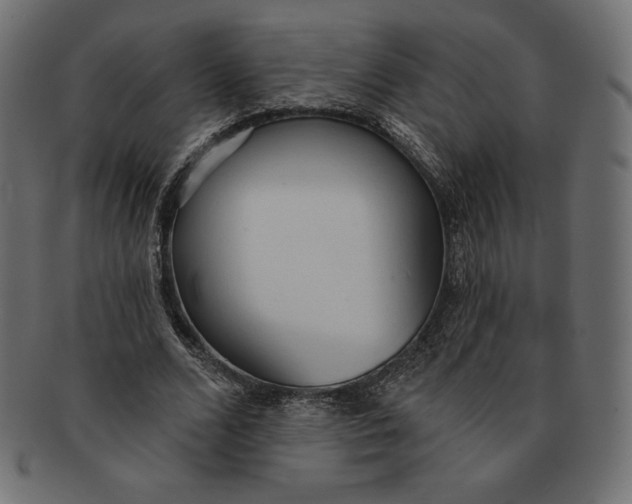 X0000091510680200709070954