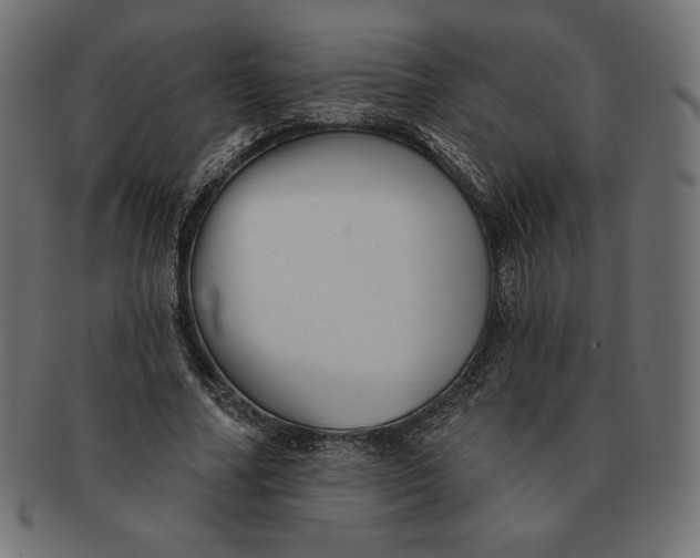 X0000091510682200709070954