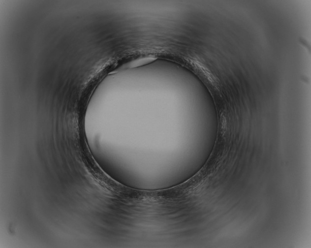 X0000091510684200709070954