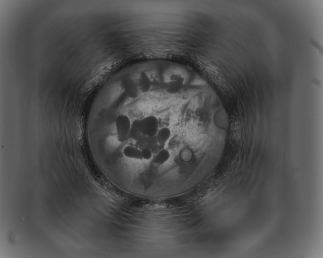 X0000091510687200709070954