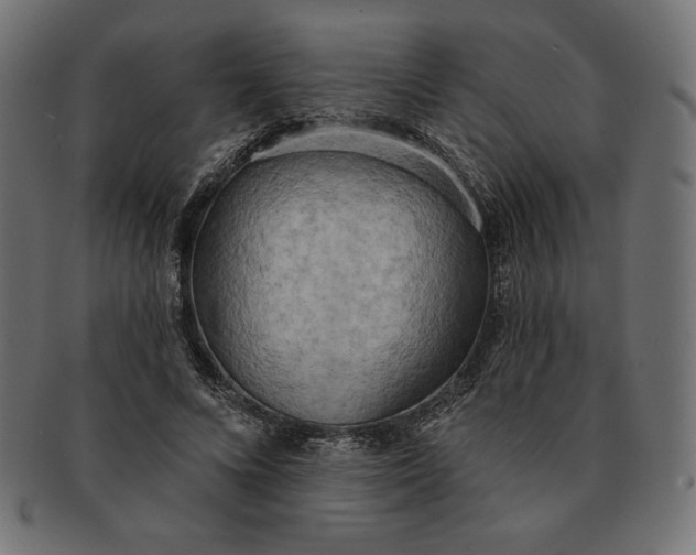 X0000091510688200709070954