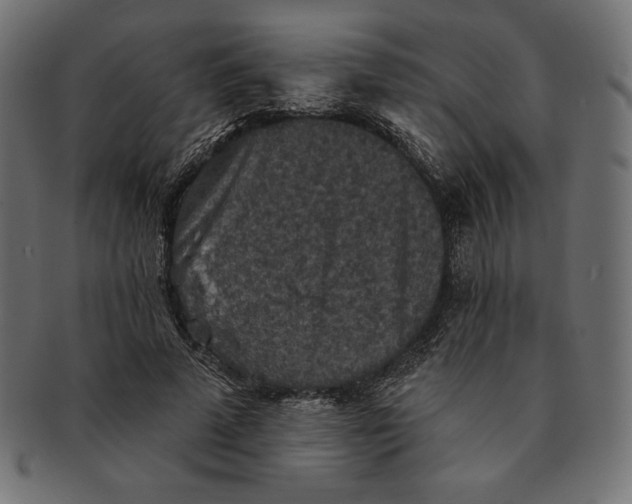 X0000091510689200709070954