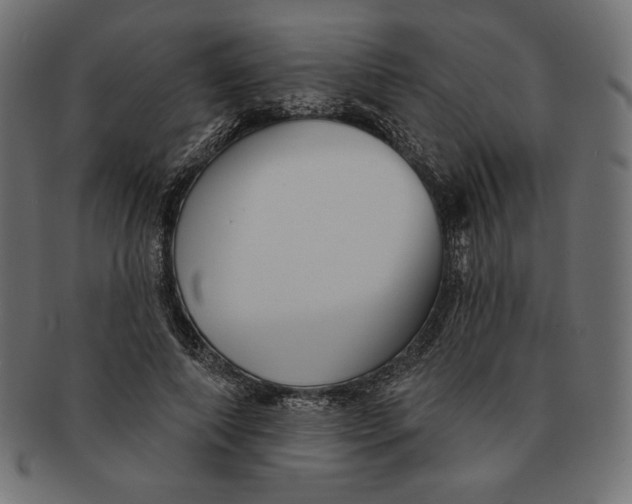 X0000091510690200709070954