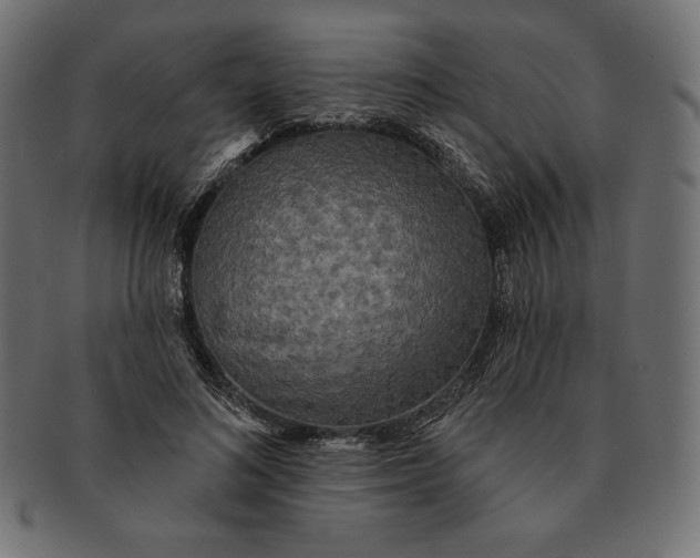 X0000091510692200709070954